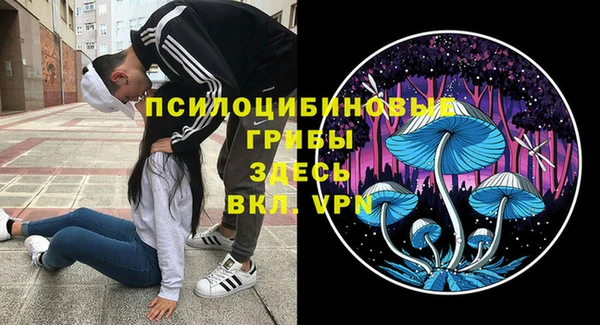 молекула духа Белокуриха