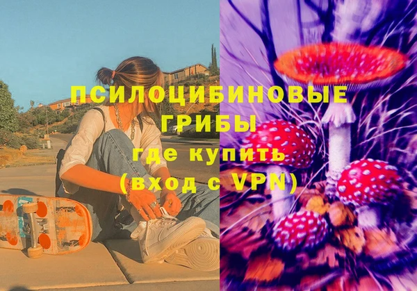 молекула духа Белокуриха